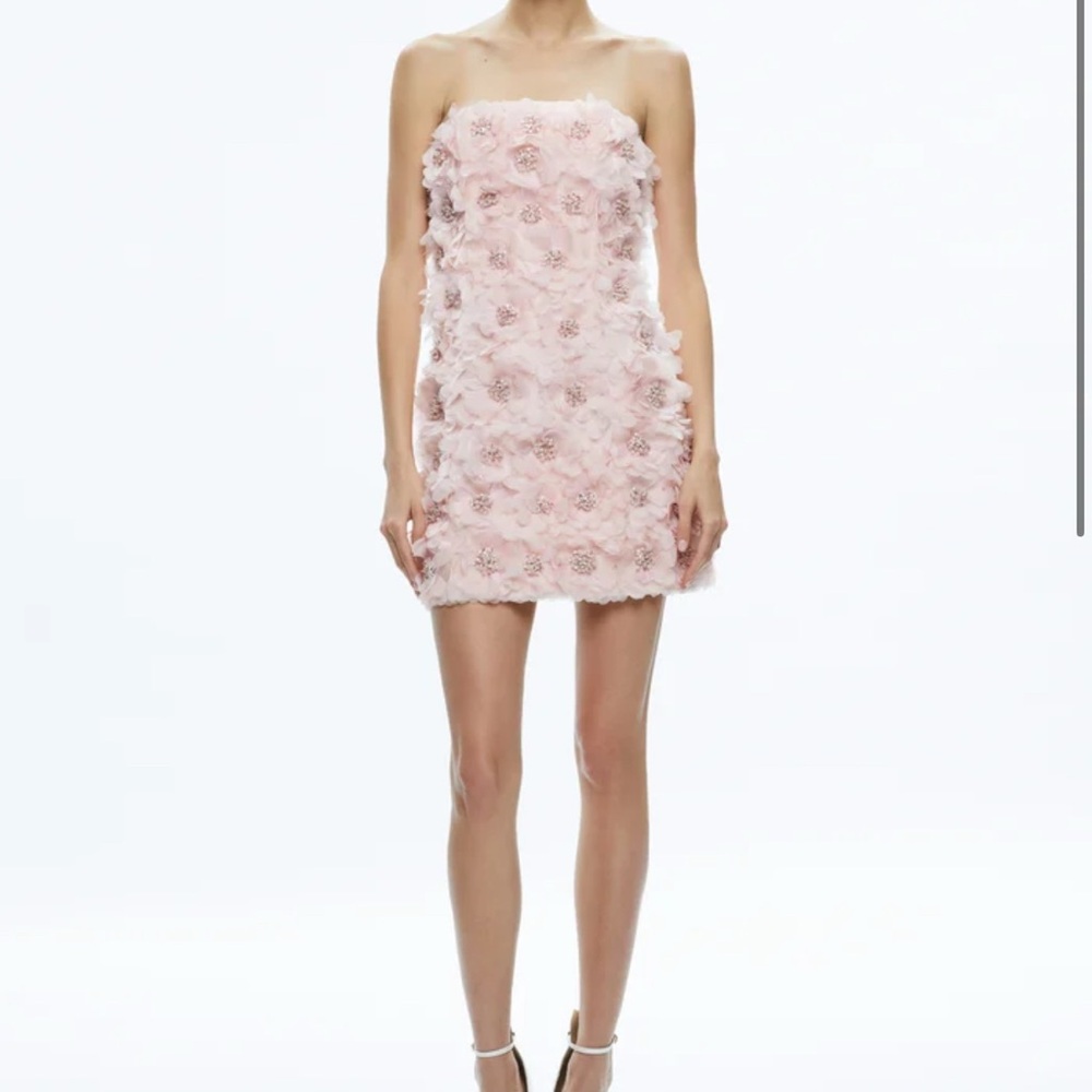 Alice + Olivia Velia Mini Dress